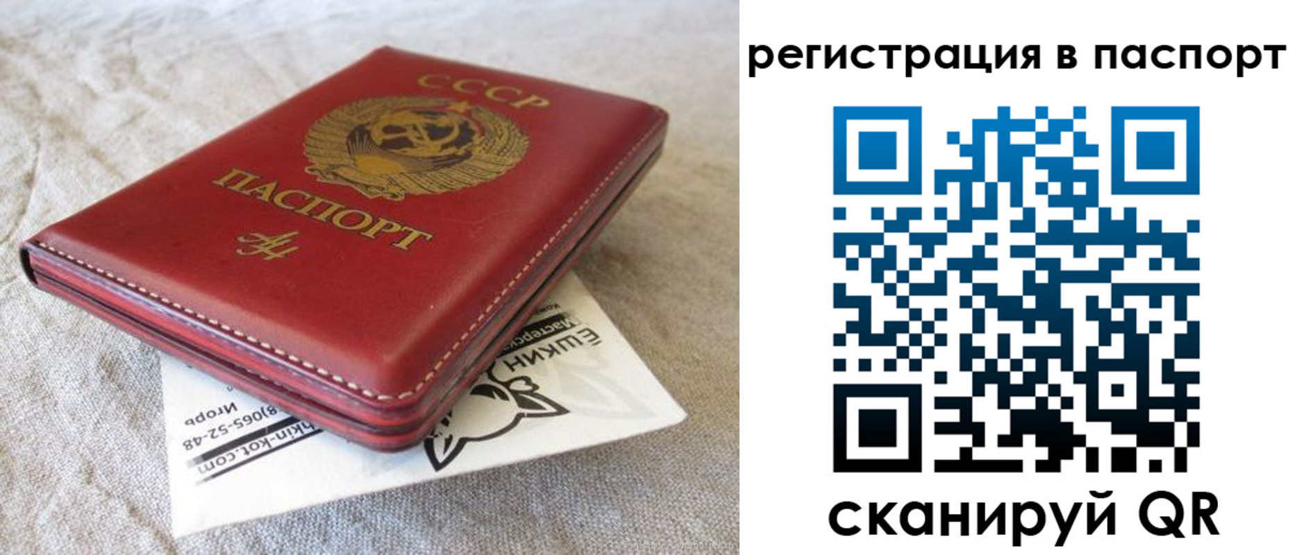 где прописаться в Гороховце